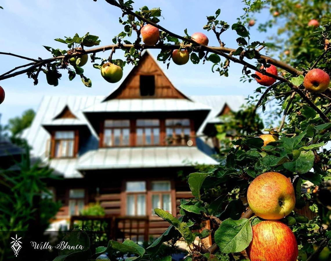 Willa Blanca Zakopane Bagian luar foto